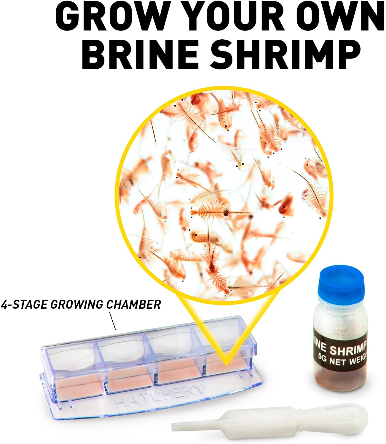 Microscopio de laboratorio de National Geographic con más de 50 accesorios