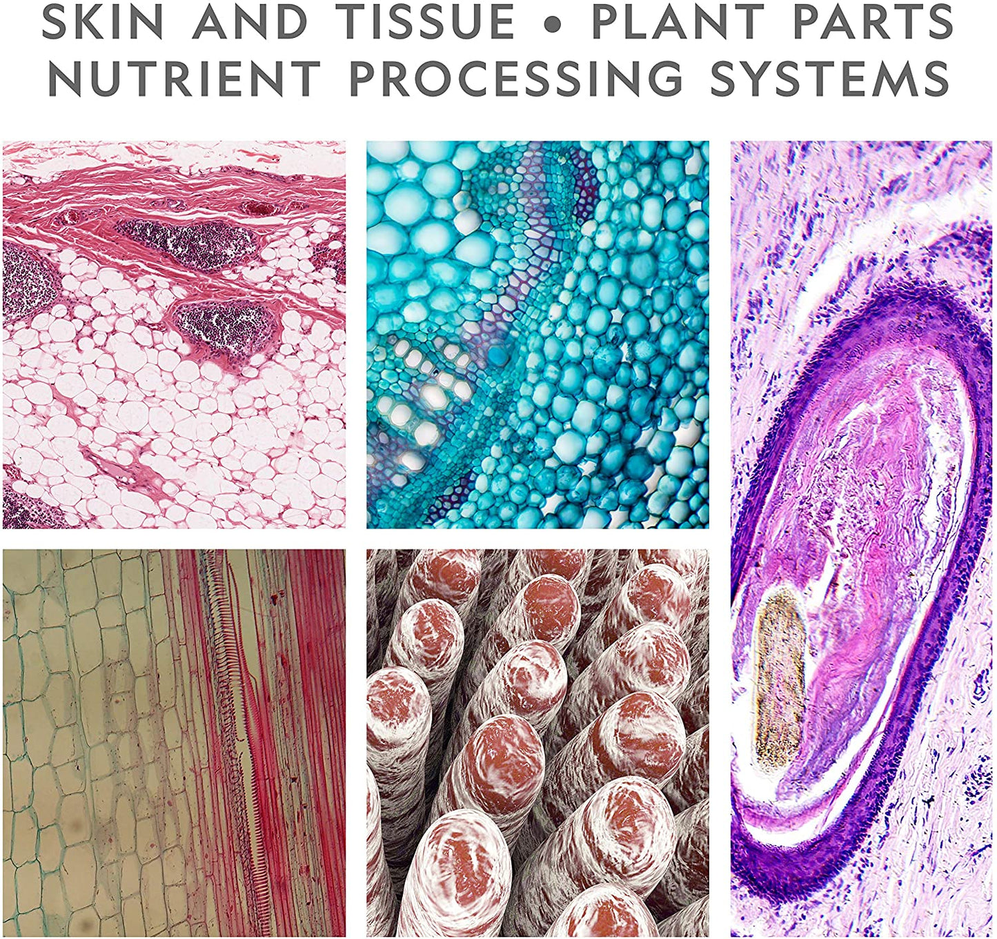 Microscopio de laboratorio de National Geographic con más de 50 accesorios