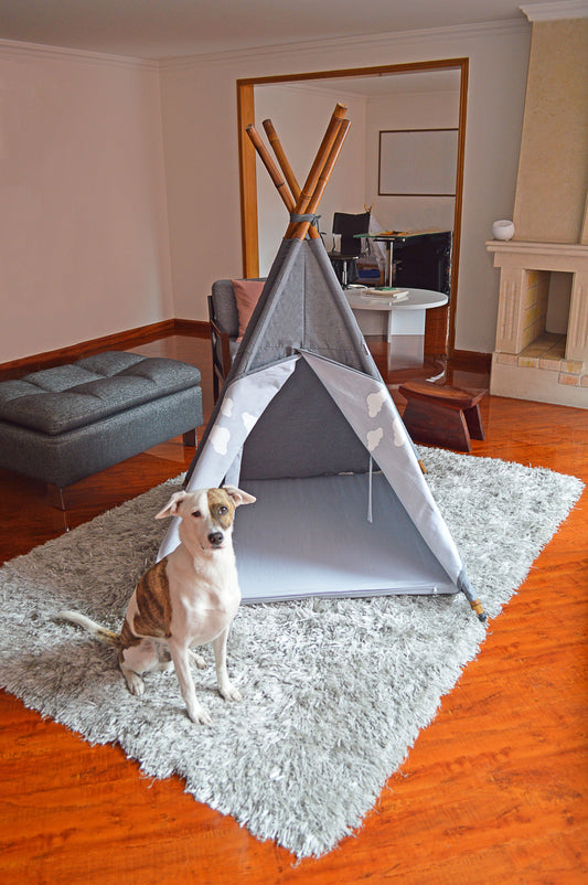 Teepee mascota gris